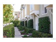 3 Bedroom Townhome for Rent $3400