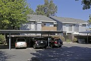 Palm Terrace Apartments