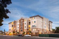 Zuma Apartments