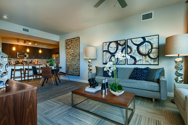 Skywater At Town Lake Apartments