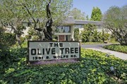 Olive Tree Apartamentos