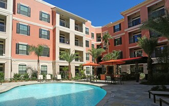 The Grove at Wilcrest Apartments