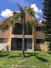 2 Bedroom Single-Family Home for Rent $1095