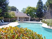 Lake Ridge Apartments