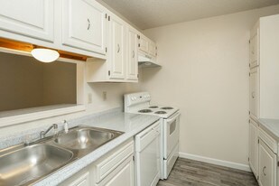 International Village Apartments