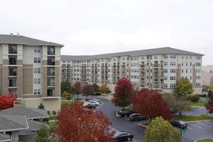 AMLI at Seven Bridges Apartments
