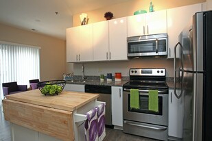 South16 Apartments