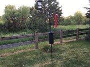 4 Bedroom Single-Family Home for Rent $2300