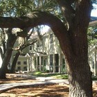 RiverTree Apartments
