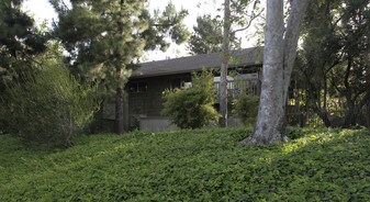 The Aspens South Coast Apartments