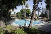 The Islander Apartamentos