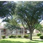 Plaza Square Apartments