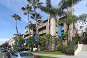 Palm Royale Apartments