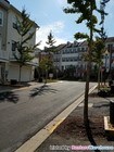 3 Bedroom Townhome for Rent $2450