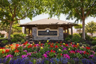 Vineyard Terrace Apartamentos