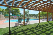 The Beach Apartments