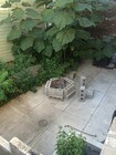 708 Bushwick Ave Brooklyn NY Apartments