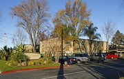 The Grove Apartments