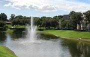 3301 Haviland Ct Palm Harbor FL