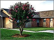 Cooper's Ranch Apartments