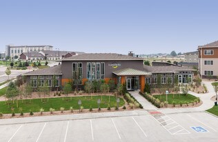 Luna Bella Apartments