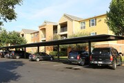 Silver Springs Apartments