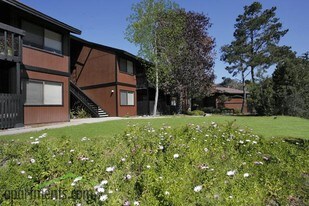 Monterey Pines Apartments
