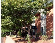 Village on the Park Apartments