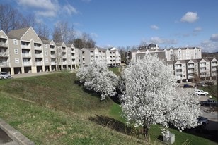 The Villas at Bon Vista Apartments