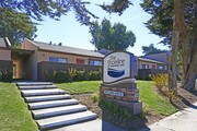 Shoreline Apartments