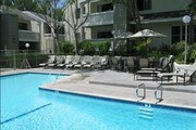Canyon Terrace Apartments