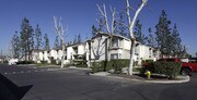 Jasmine Villas Apartments