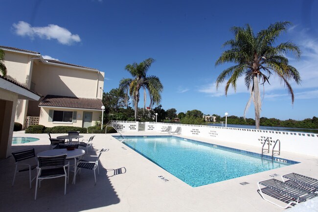 Free Cat Largo Fl Free Cat Largo Fl