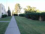 3 Bedroom Townhome for Rent $975