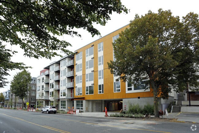 Springline Apartments