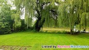 3 Bedroom Single-Family Home for Rent $900