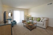 Shadowtree Apartments
