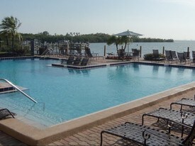 The Cove Apartments