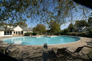 The Summit at Cane Ridge Apartments