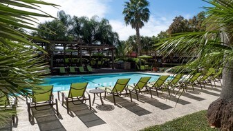 Palms on Westheimer Apartments
