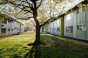 The Groves Apartments