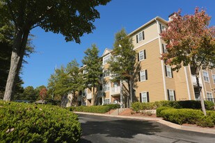 Jefferson at Perimeter Apartments