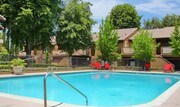 Tesoro Apartment Homes