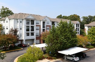 The Edge at Fairfax Corner Apartments