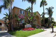 Lucera Luxury Apartment Homes