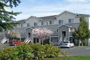 Springbrook Village Apartments
