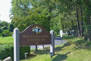 Whitewood Pond Apartments