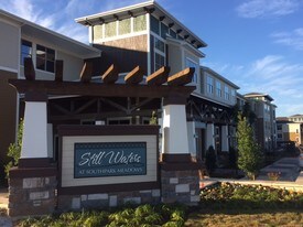 Still Waters at Southpark Meadows Apartments