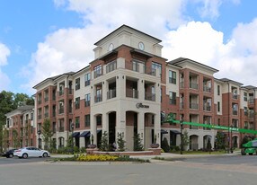 The Collection Apartments
