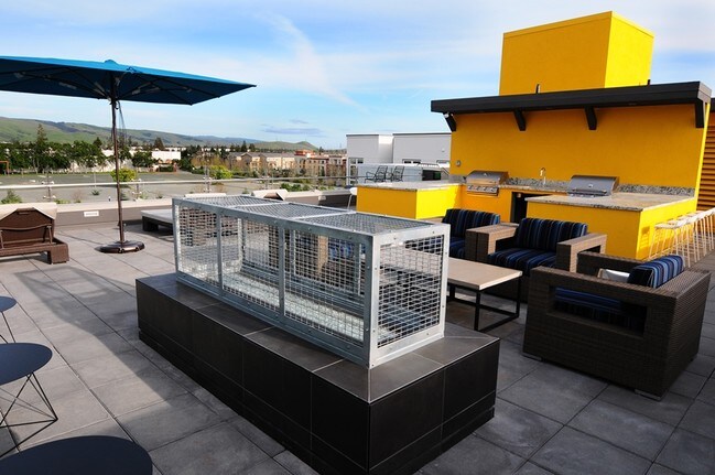 Apartments For Rent In Santa Teresa San Jose Ca Apartments For Rent In Santa Teresa San Jose Ca